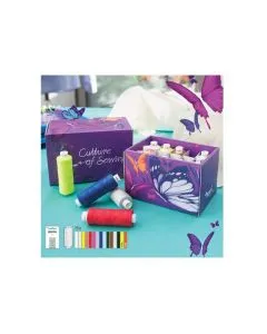 Caja de 15 hilos y 5 agujas Texi