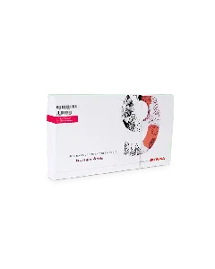 Programa de Bordad Designer PLus  V9